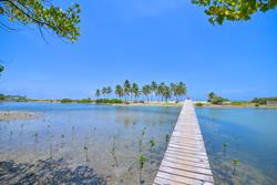 Sri Lanka - Widnsurf Kitesurf Holidays - Kalpitiya lagoon.